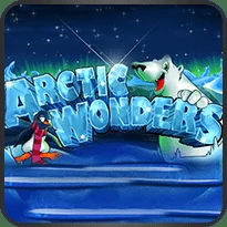 Arctic Wonders